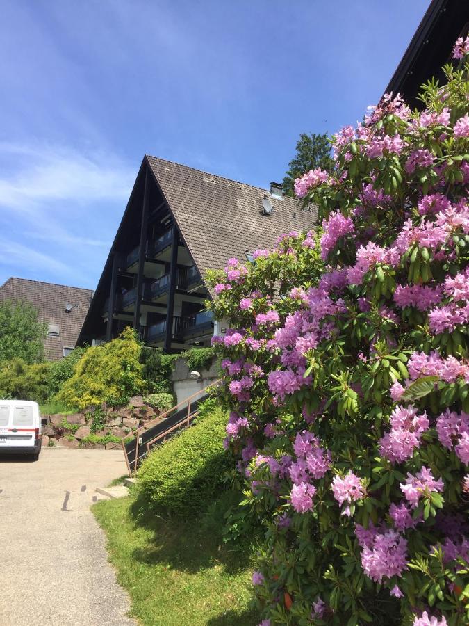 Ferienwohnung On The Hill Sasbachwalden Exterior foto
